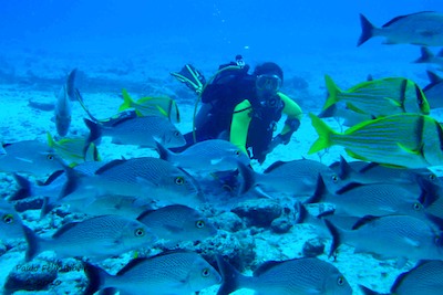 picture by Paulo Felix Ribeiro of diving with Scuba Libre, Playa del Carmen