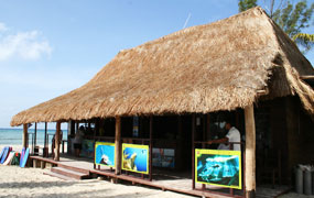 picture of Scuba Libre dive center in Playa del Carmen
