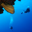 picture of diving Cozumel with Scuba Libre